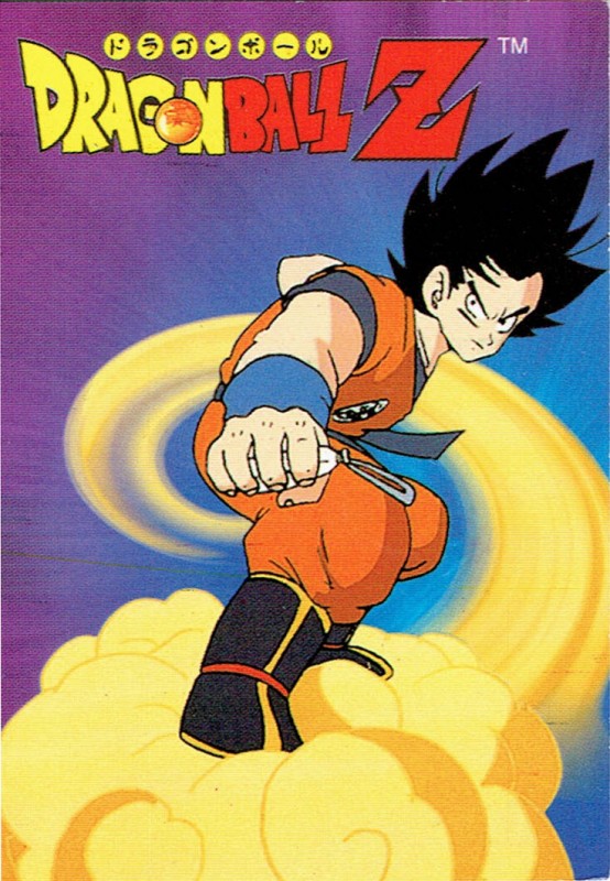 1999 DRAGON BALL Z Card #057 VEGETA Navarrete PERU TCG Toei Animation Anime  DBZ